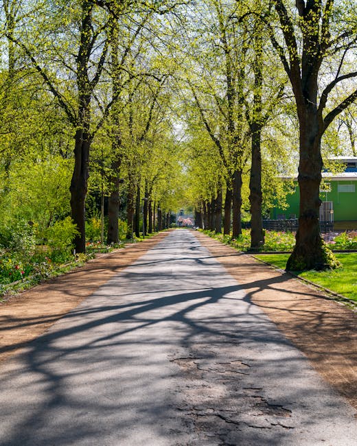 A straight residential street lined with tall, deciduous trees on both sides, casting intricate shadows on the asphalt road. The trees are budding with fresh light green leaves, indicating springtime.